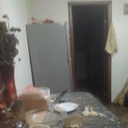 �����, �����������, 52 ����