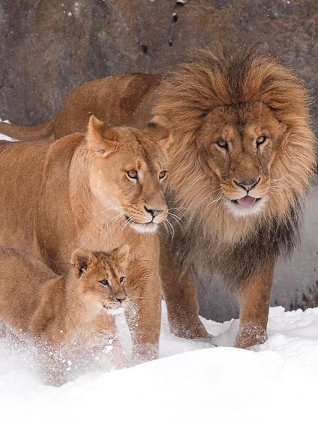   - 5  2025  15:25 - 4