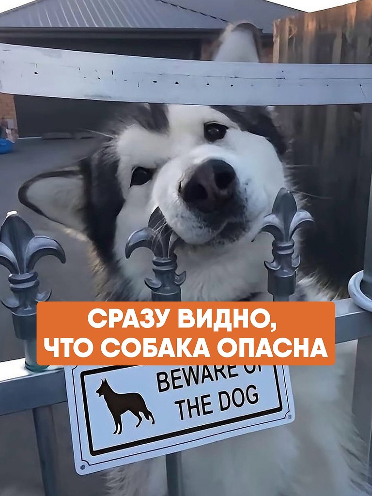       .  ,   ,        ...