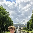 ���� �����, ������, 50 ��� - ��������� 24 ���� 2024 � ������ ���� ����������