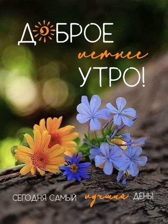  - 1  2024  12:22
