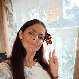 , 44, 