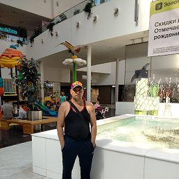 �������, ���������, 41 ���