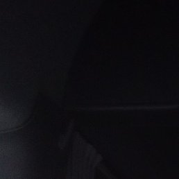 ������, �����������, 49 ���