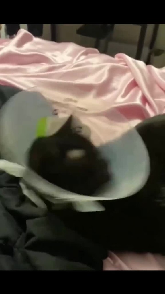    ,      ! - 2