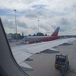 ���� ����, ������ ��������, 38 ��� - ��������� 15 ��� 2026