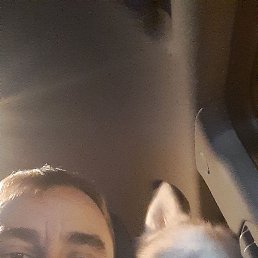 , 39,  