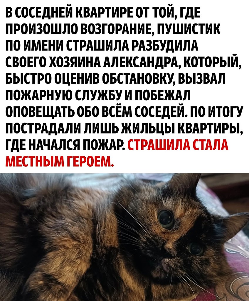     - 3
