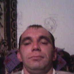 , 41, 