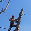 ���� ��������, ������-��-����, 38 ��� - ��������� 17 ������� 2026