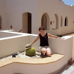 ����, ������