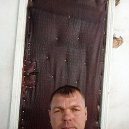 , 41, 