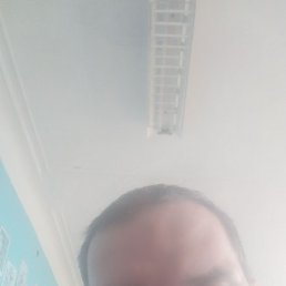 ����, ����, 37 ���