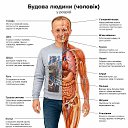 ���� Yura, ����, 36 ��� - ��������� 5 ������� 2026