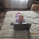 ���� �������, ������, 41 ��� - ��������� 1 ���� 2026
