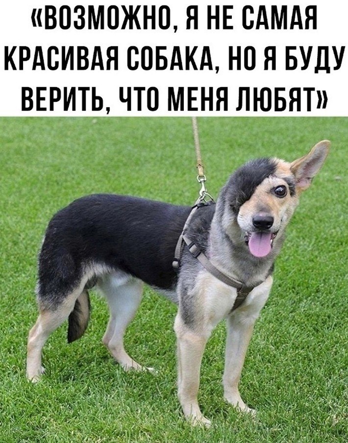 ? ,  ! - 28  2025  04:43