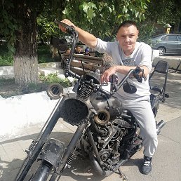 , 37, 