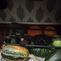 ������ ������, �����, 57 ���