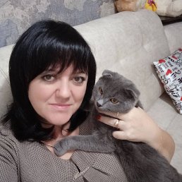 , 28, 