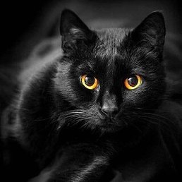 ����, �����-���������, 45 ���