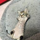 ���� ���������, ����������, 74 ���� - ��������� 14 ��� 2026 � ������ ������ ��������