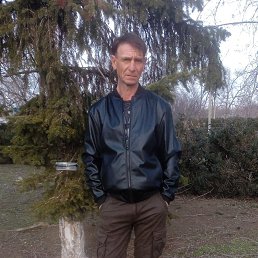 , 53, 