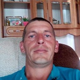 ���������, ������, 41 ���