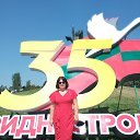 ���� ��������, ���������, 44 ���� - ��������� 12 �������� 2025
