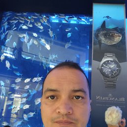 , 38, 