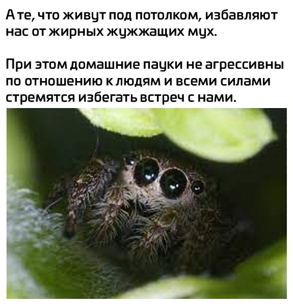 ���� - 1 ������� 2025 � 08:32 - 3