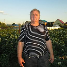 , 66 , 