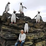 ���, 59 ���, �����������