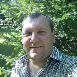 �����, �������, 41 ���