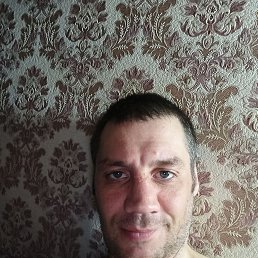 , 38, 