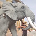 ���� ����, �������� - ��������� 5 ���� 2024 � ������ ���� ����������