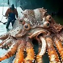 ���� Gellana, ����������� - ��������� 23 �������� 2024 � ������ ���� ����������