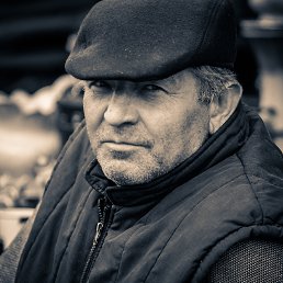 , 45, 