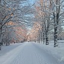 ���� ��������, ������� - ��������� 19 ������� 2025 � ������ ���� ����������