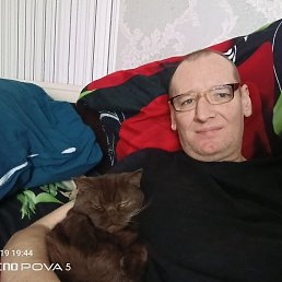 , 46, 