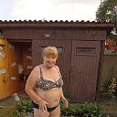 ���� ���������, ������, 67 ��� - ��������� 17 ��� 2026 � ������ ���� ����������