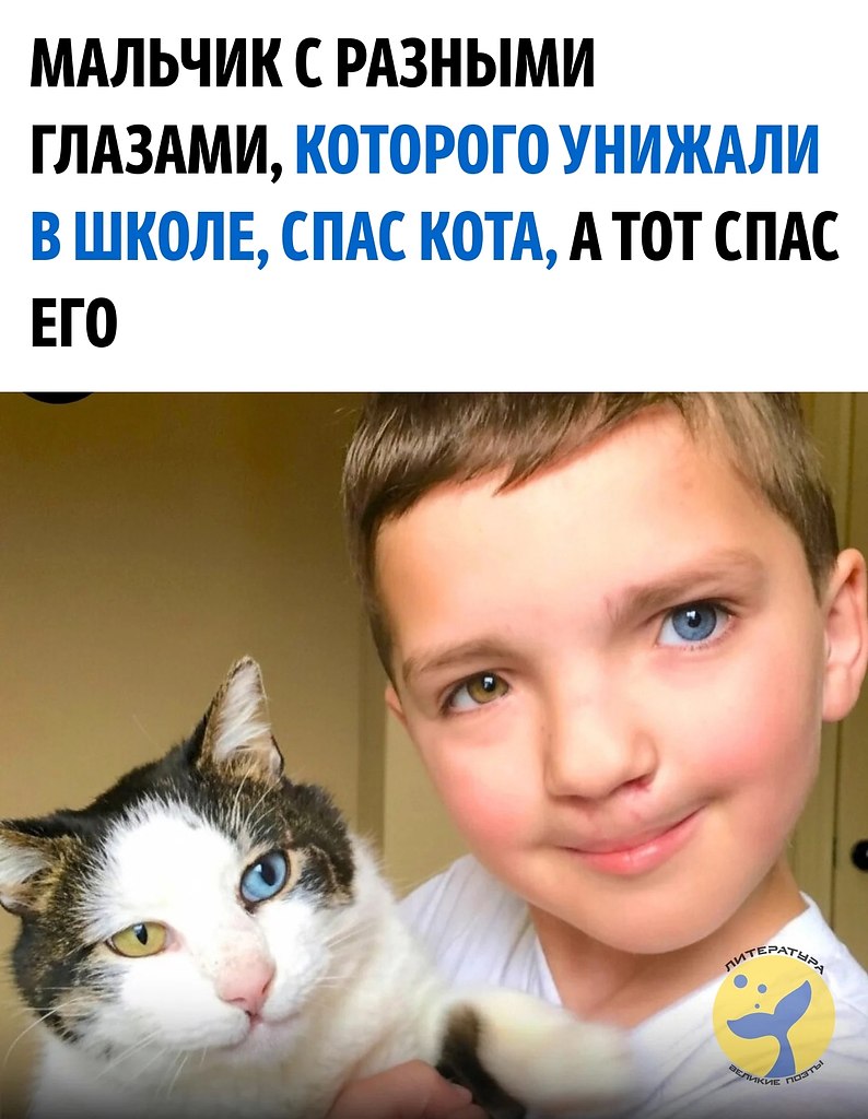 Семилетний Мэдден из Оклахомы родился с гетерохромией — разным цветом глаз — и заячьей губой. В ...
