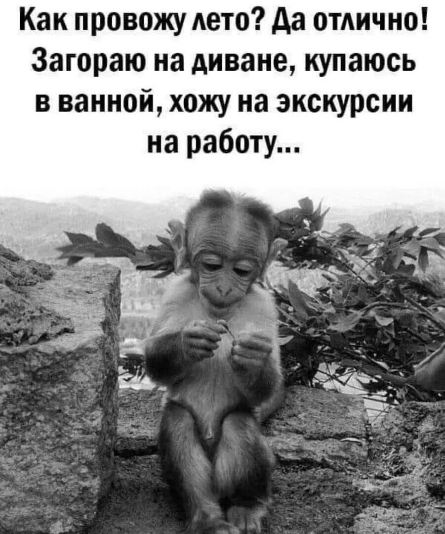 ***Victoria Viktorovna*** - 9  2024  05:55