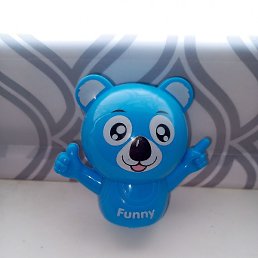 �����, ���������, 49 ���