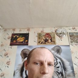  , 37 , 
