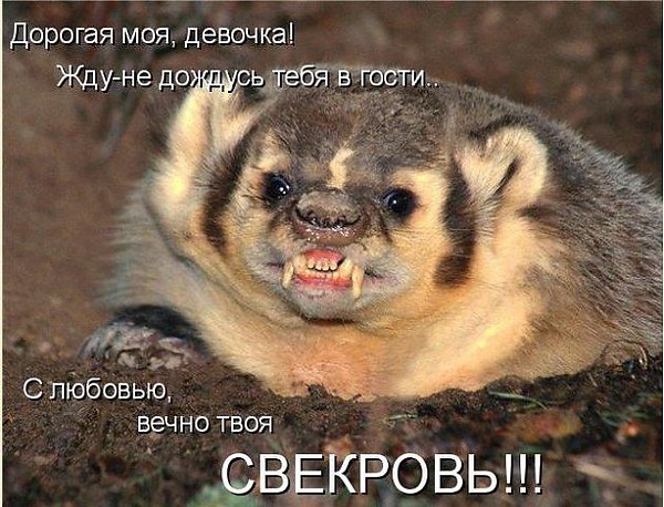   - 24  2025  05:19
