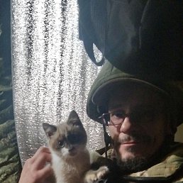 ���� ������ ������, ����, 43 ���� - ��������� 8 ����� 2026