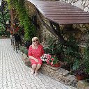 ���� ������ ���������, ������, 56 ��� - ��������� 8 ��� 2024 � ������ ���� ����������