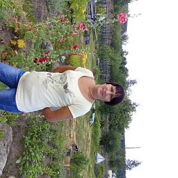 �����, ������, 37 ���