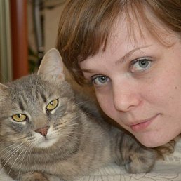 �����, �����-���������, 44 ����