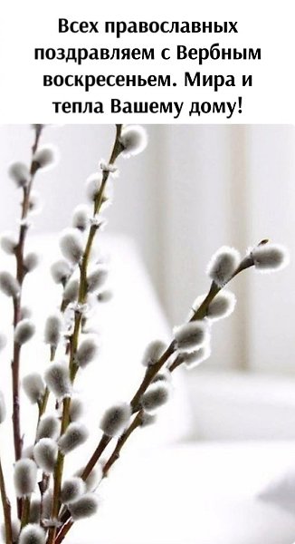 �������� ������� - 13 ������ 2025 � 13:50